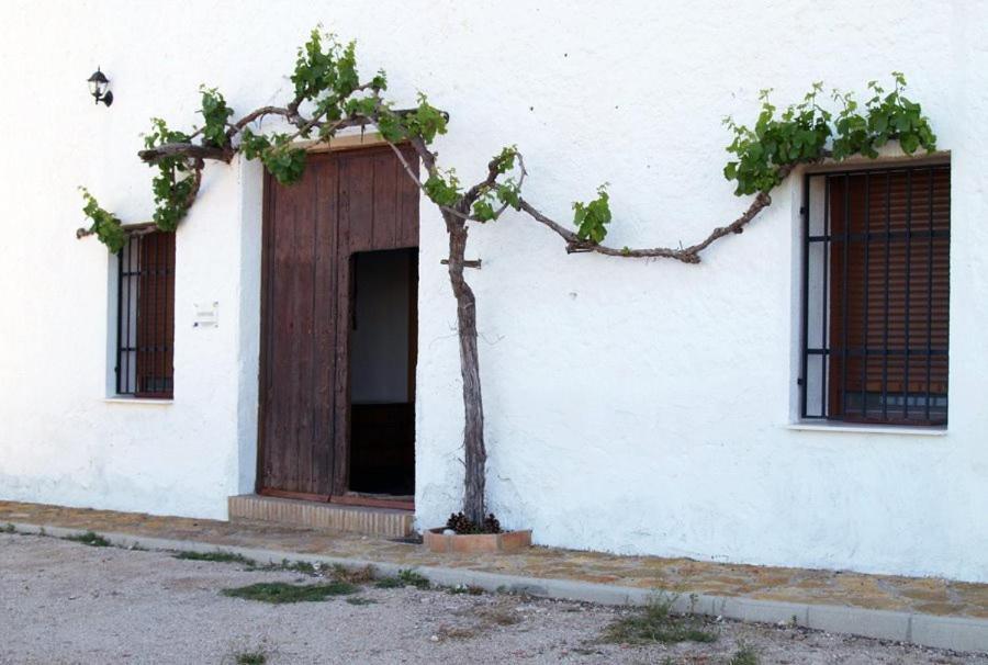 Casa Rural Casa Maxima Yecla Cameră foto